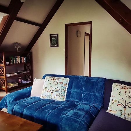 Dancing Waters Cottage Springbrook Zewnętrze zdjęcie